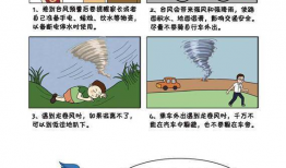 教育指导动漫,探索教育指导动漫的魅力与价值